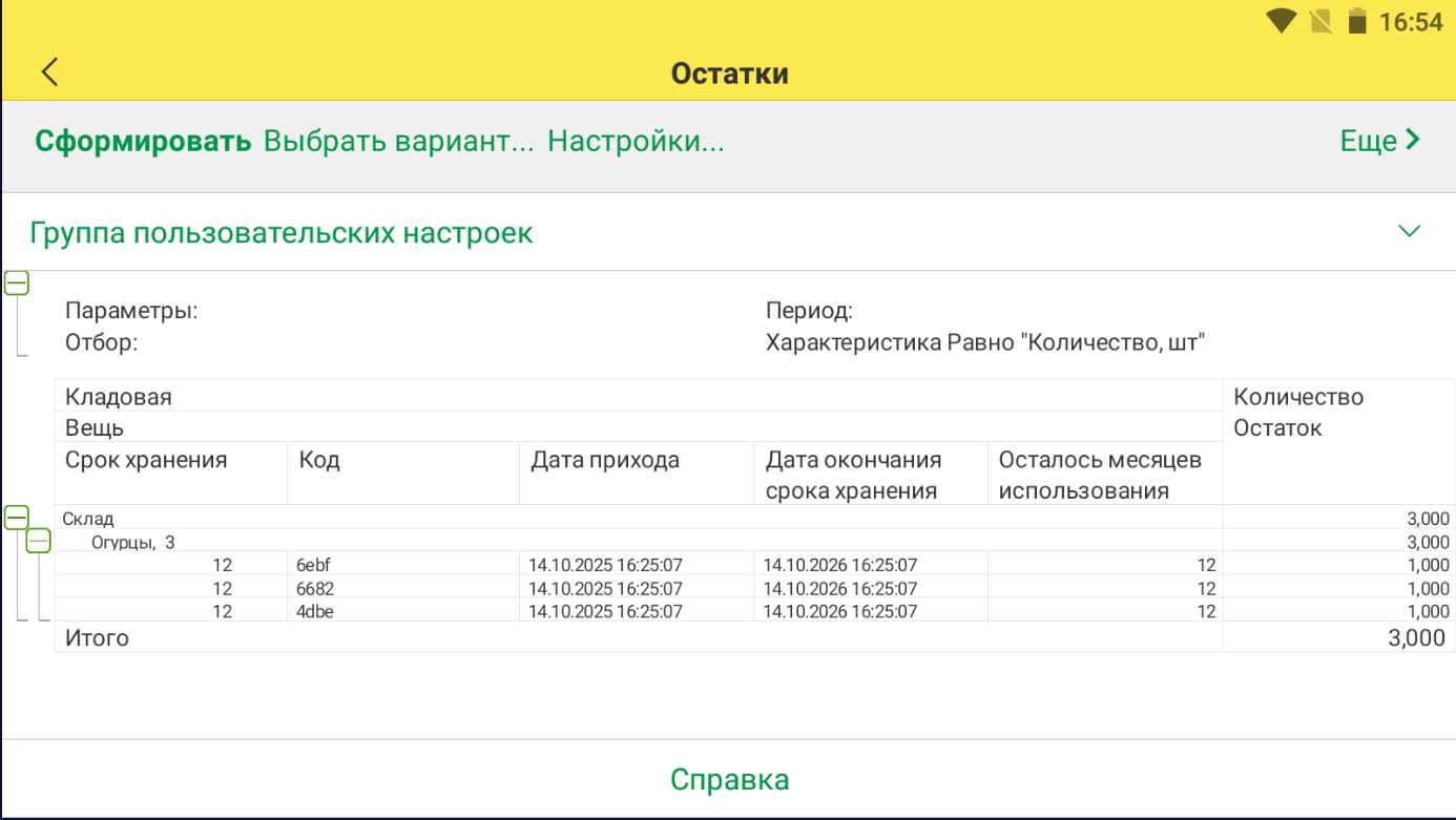 Отчет “Остатки”